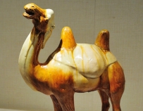 三彩骆驼俑  唐代|波士顿美术馆藏